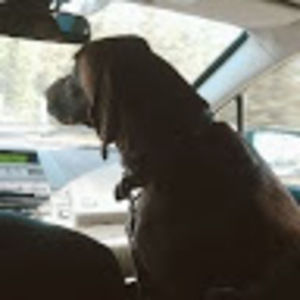 Meet your Posher, Isabelle marie